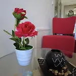 Aladin موتيل كازين